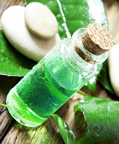 Tea Tree Oil