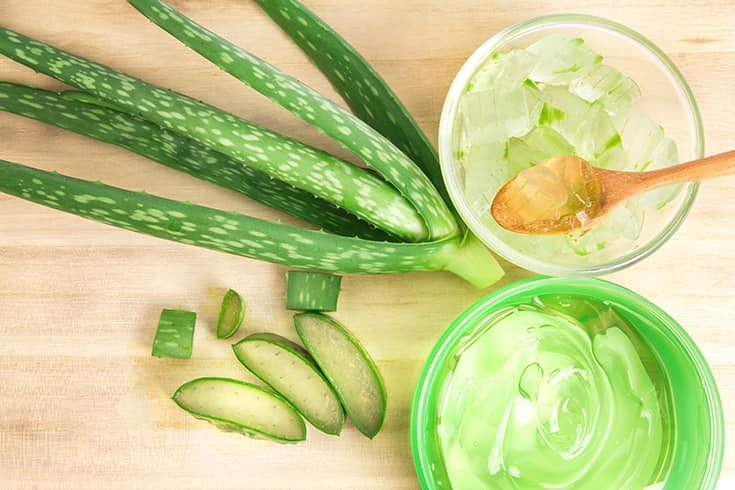 Aloe Vera For Hair Loss