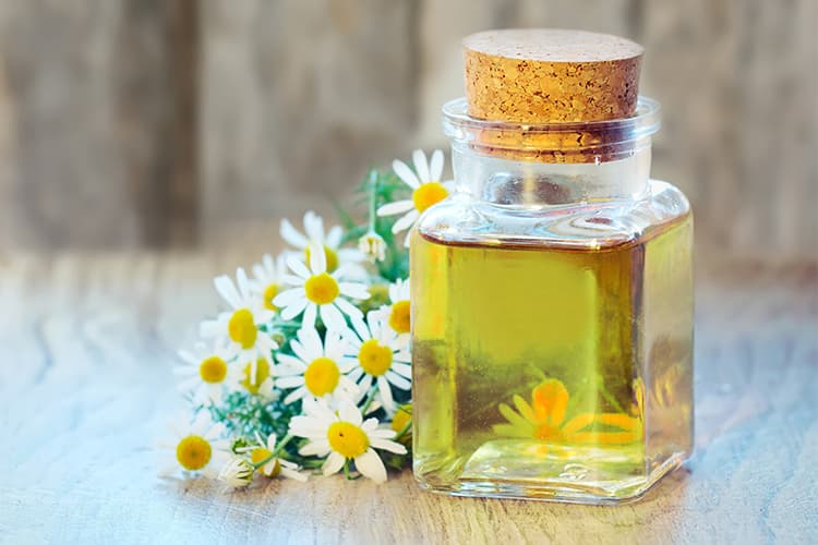 Benefits Of Chamomile Oil