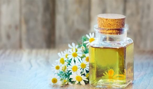 Chamomile Oil Benefits