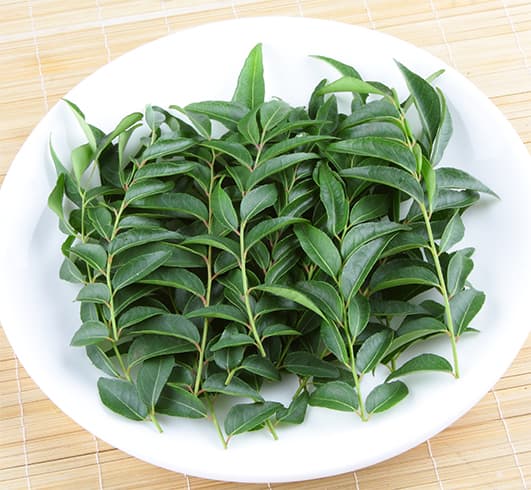 Curry Leaves