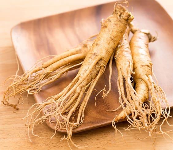 Ginseng