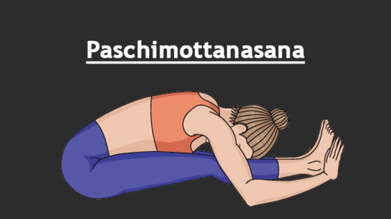 Paschimottanasana Meaning Paschimottanasana Meaning