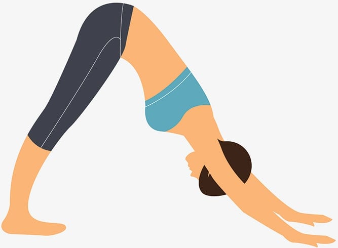 Comment faire Adho Mukha Svanasana