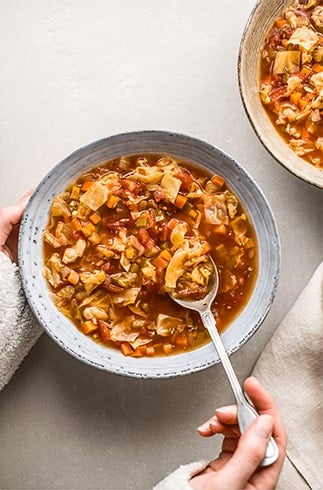 Vegetable Stock Soup