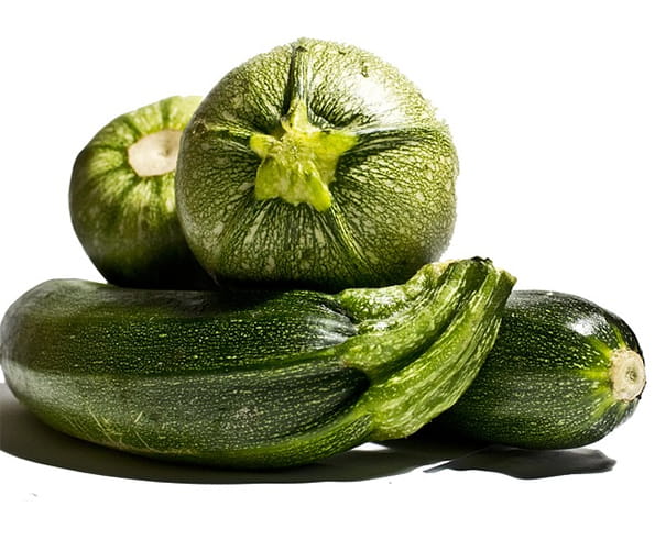 Zucchini