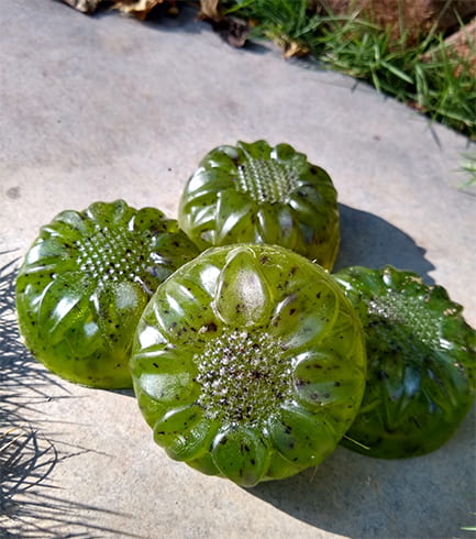 DIY Aloe Vera Soap with Basil