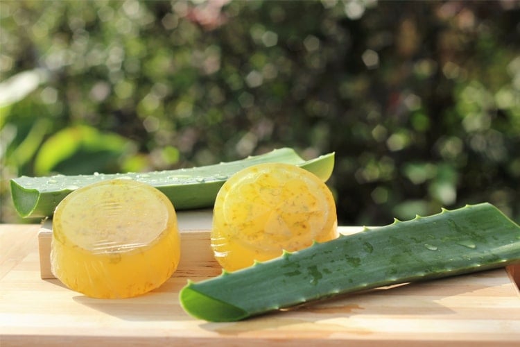 DIY Aloe Vera Soap