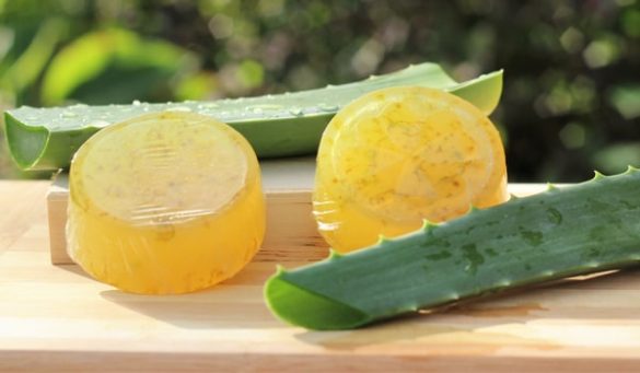 Homemade Aloe Vera Soap